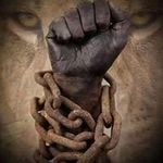Profile Picture of Jerry Biggs (@biggs_jerry) on Instagram
