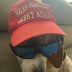 Profile Picture of Lucas Craig (@Lucas-Craig) on Facebook