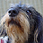 Profile Picture of Alexandra Feldner (@alexandra.feldner) on Flickr