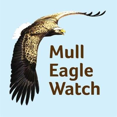 Profile Picture of Mull Eagle Watch (@MullEagleWatch) on Twitter