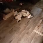 Profile Picture of Monte Cunningham (@monte.cunningham.77) on Facebook