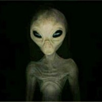 Profile Picture of Aaron Zirk (@aaron-zirk) on Quora