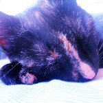 Profile Picture of Lucia Mantilla (@mantillalucia) on Instagram