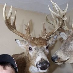 Profile Picture of Jeffy Meier (@jeffymeier) on Tiktok
