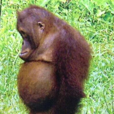 Graham 'GEE' Barrett - Twitter Profile Picture of Graham 'GEE' Barrett (@banksidebhudda) on Twitter