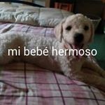 Profile Picture of Minda Enriquez (@mindaenriquez) on Instagram