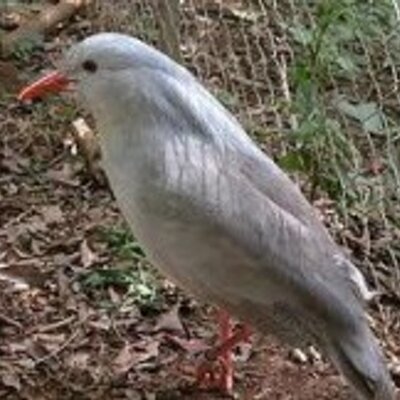 Profile Picture of Ben Gabel (@BenGabel1) on Twitter