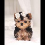 Profile Picture of Makaela janae Wright (@makaelajanaewright) on Instagram