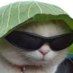 Nick Mccluand - Twitter Profile Picture of Nick Mccluand (@NMccluand) on Twitter