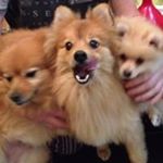 Profile Picture of Andrew Heslop (@heslop.a) on Instagram