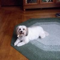 Profile Picture of Kevin Pugh (@kevin-pugh-66) on Quora