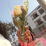 Profile Picture of Nancy Roots (@nancy.roots.3) on Instagram