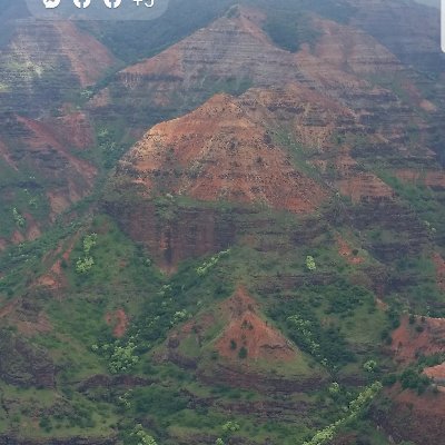 Stephanie Katz - Twitter Profile Picture of Stephanie Katz (@Stephan92541846) on Twitter