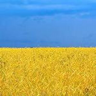 Profile Picture of руслан хорошун (@RYSLIK77) on Twitter