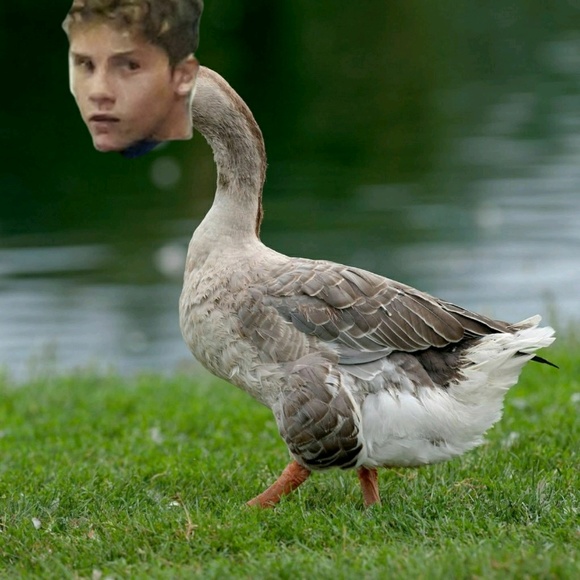 Profile Picture of Justin Stevenson (@justins2000) on Poshmark