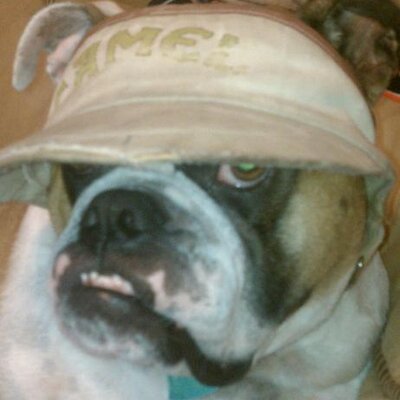 Profile Picture of Chad Propst (@cpropst619) on Twitter