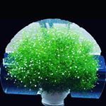 Profile Picture of claire_wiseman302 (@claire_wiseman302) on Instagram