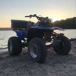 Profile Picture of Bobby Pigeon (@__bobby.pigeon__) on Instagram