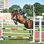 Brooks Lyon Clement - Instagram Profile Picture of Brooks Lyon Clement (@clement.equine.llc) on Instagram