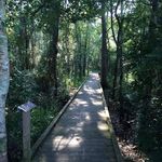 Profile Picture of Charlotte Morvant Ramahi (@charlotteramahi) on Instagram