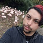 Profile Picture of Robert Barbee (@luckylilpandy) on Instagram