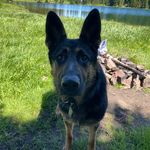 Profile Picture of Tim Humphries (@humphries_tim) on Instagram