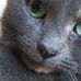 Profile Picture of Sybil Thomas (@sybil.thomas.98) on Facebook
