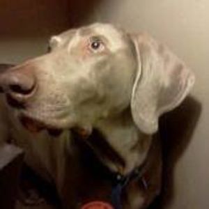 Profile Picture of Robert Naylor (@robertnaylor1970) on Myspace