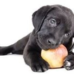 Profile Picture of Félix perdomo (@felixperdomo4813) on Instagram