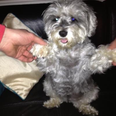 Profile Picture of Richard Corner (@RichCorner449) on Twitter