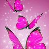 Profile Picture of Angela Lamp (@angelalamp1) on Tiktok