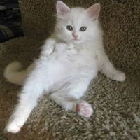 Profile Picture of Paul Ann (@paul-ann-1) on Quora