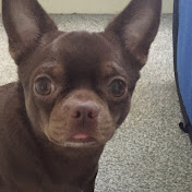 Profile Picture of Stanley Davidson (@stanleydavidson932) on Youtube