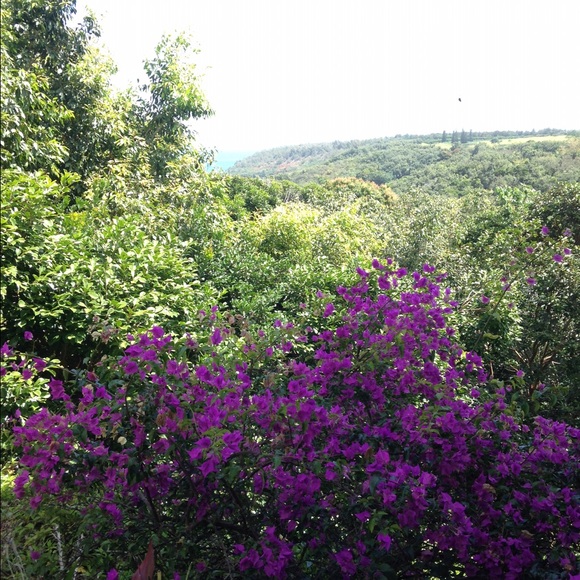 Profile Picture of Ceska Formanova (@ceskaformanova) on Poshmark