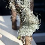 Profile Picture of Terra Long (@Simon&Sadira) on Flickr