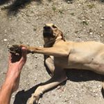 Profile Picture of Brian Carnevale (@carnevale.brian) on Instagram