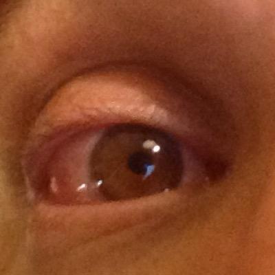 Profile Picture of Steve Bornstein (@dsbiteris) on Twitter