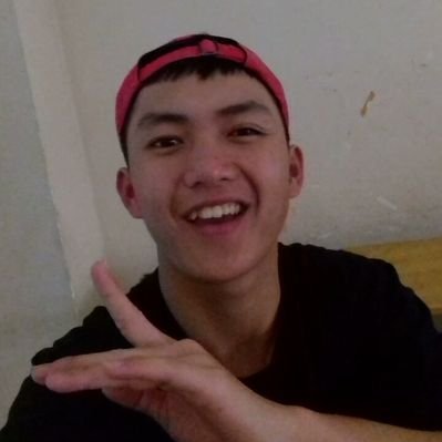 Profile Picture of Thinh Pham (@Thinhpham162210) on Twitter