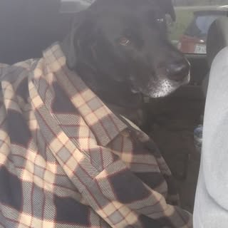 Joseph Binder - Instagram Profile Picture of Joseph Binder (@binder_joseph) on Instagram