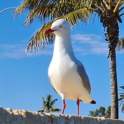 Profile Picture of Kristian Fowler (@KristianFowler) on Twitter
