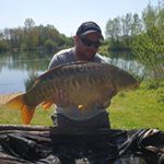 Profile Picture of Steve Fenton (@stevefent1) on Instagram