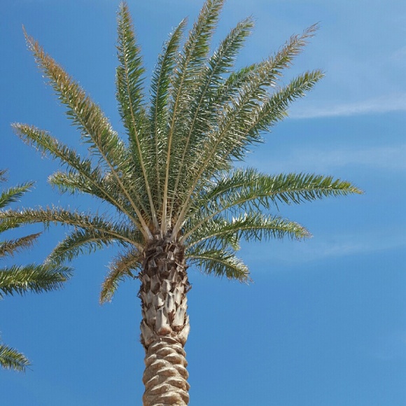 Profile Picture of Maci Nyseth (@msnyseth) on Poshmark