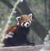 Profile Picture of Peter Bartram (@peter.bartram.5203) on Facebook