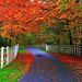 Profile Picture of Imran Uddin (@imran2540) on Pinterest
