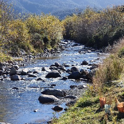 Profile Picture of Colin Eade (@eade53) on Twitter