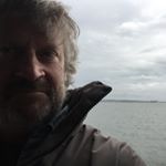 Profile Picture of Steve Strauss (@stevendstrauss) on Instagram