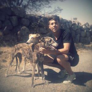 Profile Picture of Abel Muñoz (@abeliyo12) on Twitter
