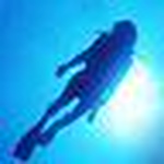 Profile Picture of Alice Collins (@scubadiver alice) on Flickr
