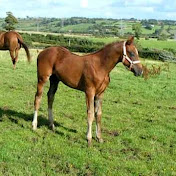 Profile Picture of Pauline Wright (@pollyw1962) on Youtube