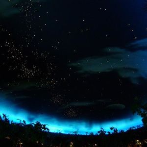 Profile Picture of Rachel Padilla (@rpadilla) on Myspace